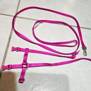 XS Dog or Kitty Leash and Harness